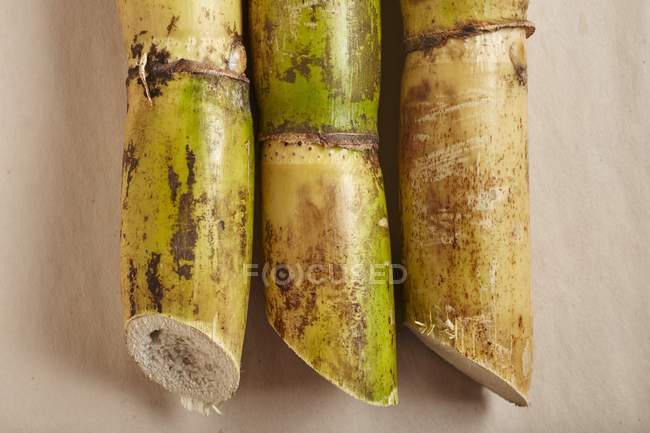 Vista close-up de três canas de açúcar — Fotografia de Stock