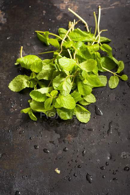 Freshly washed mint leaves — Stock Photo