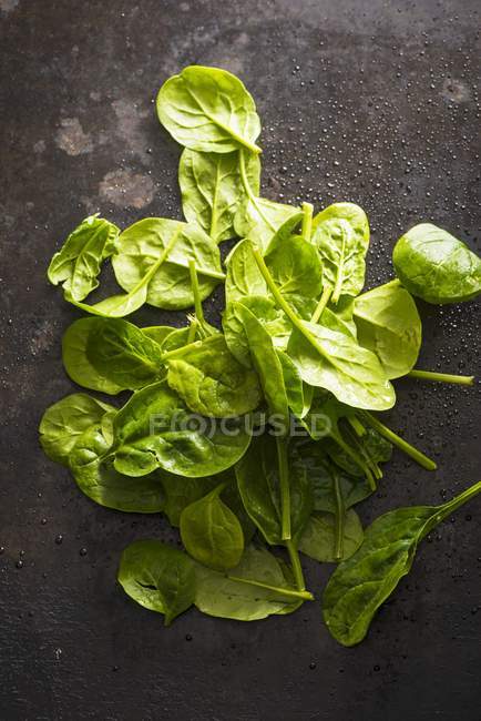 Folhas de espinafre recém-lavadas — Fotografia de Stock