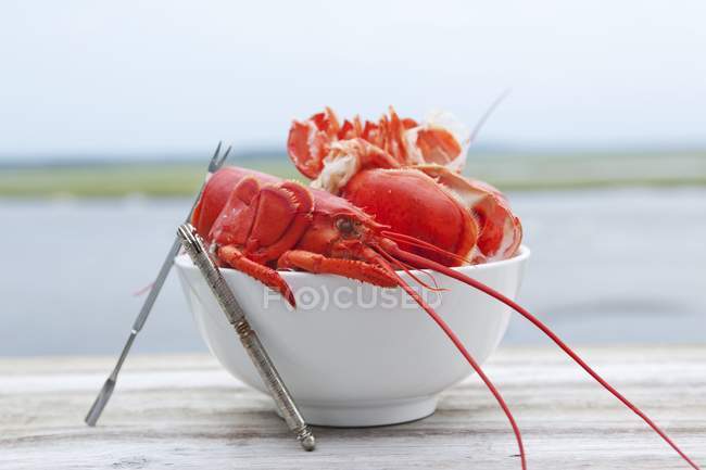 Vue rapprochée des coquilles de homard dans un bol avec ouvre-boîte sur une surface en bois — Photo de stock