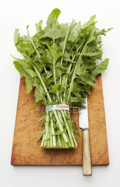 Organic dandelion leaves on a chopping board with a knife — Stock Photo