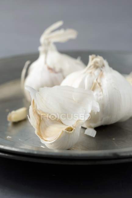 Dried Garlic bulbs — Stock Photo