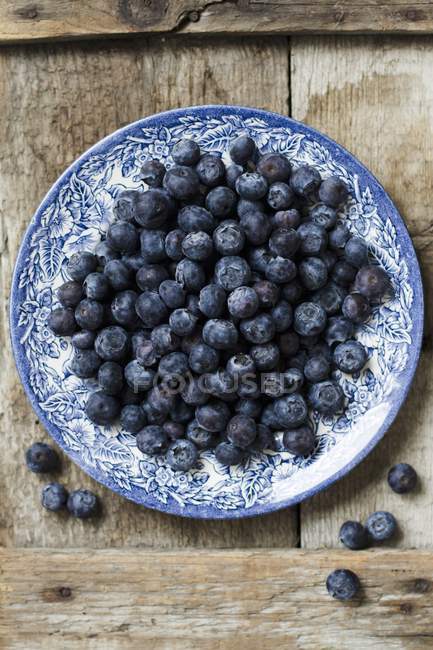 Blueberries on porcelain plate — Stock Photo