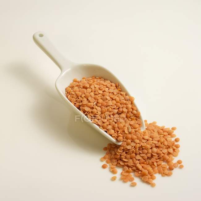 Red lentils in scoop — Stock Photo