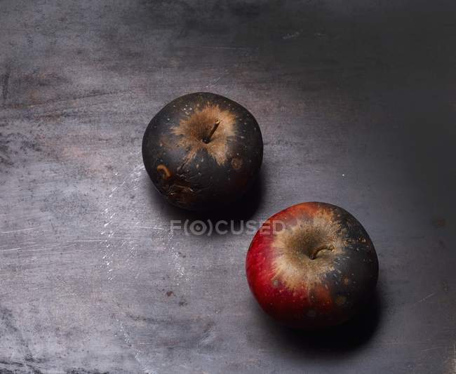 Два заплесневелых яблока — стоковое фото