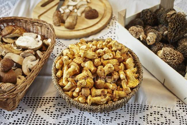 Vista de perto de Porcini, chanterelle e cogumelos morel em uma mesa com uma toalha de mesa branca — Fotografia de Stock