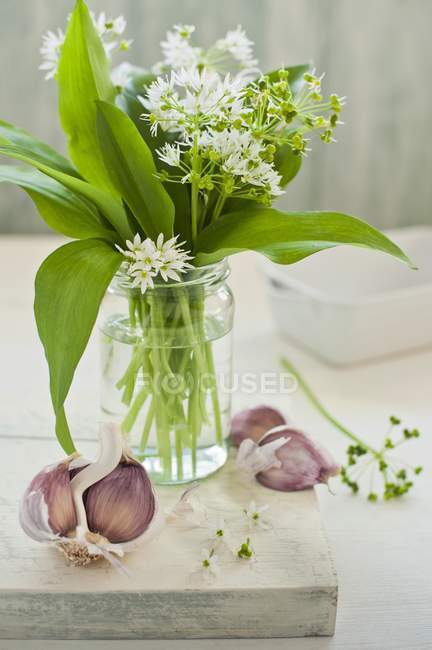 Дикий чеснок с цветами и гвоздикой — стоковое фото