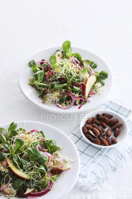 Ensaladas de germinado con almendras en cuencos - foto de stock