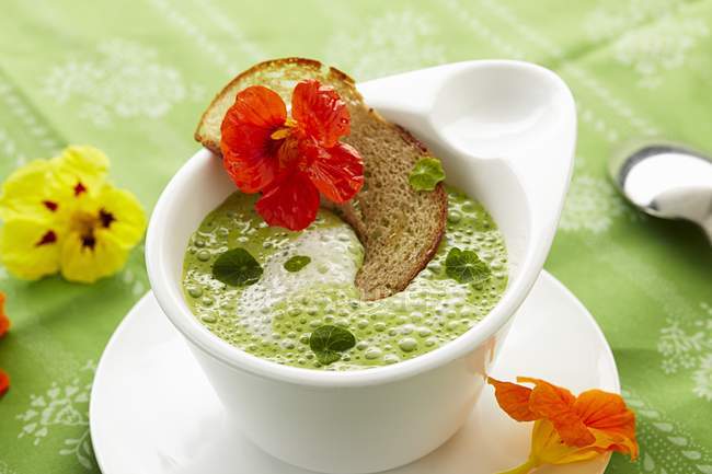 Foamy nasturtium soup — Stock Photo