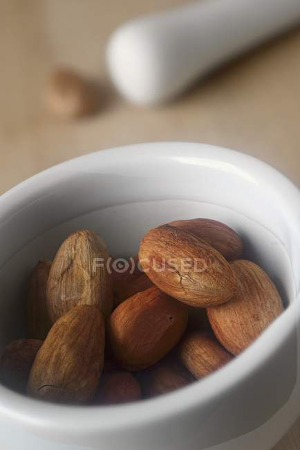 Closeup view of Cacao beans in a mortar — Stock Photo