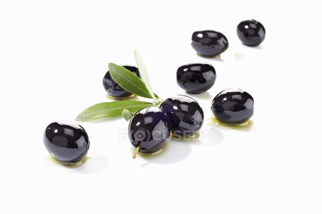 Aceitunas negras con aceite de oliva y hojas - foto de stock