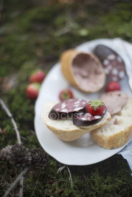Closeup view of baguette with red sausage and liver sausage — Stock Photo