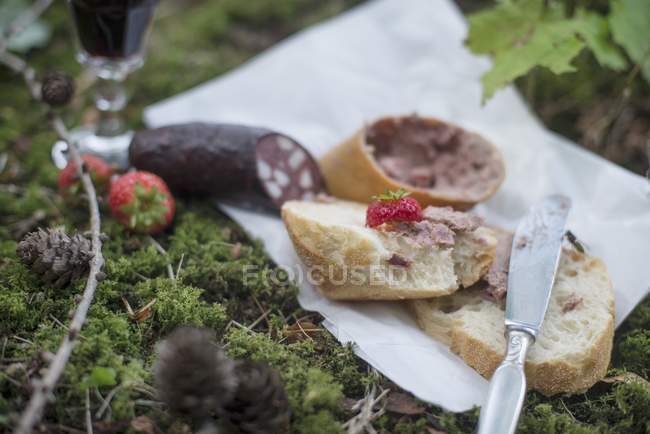 Nahaufnahme von Baguette mit Leberwurst und roter Wurst — Stockfoto
