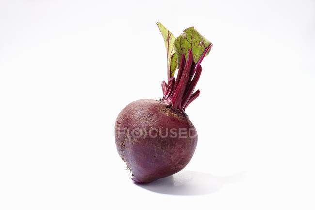 Fresh Beetroot with stalk — Stock Photo
