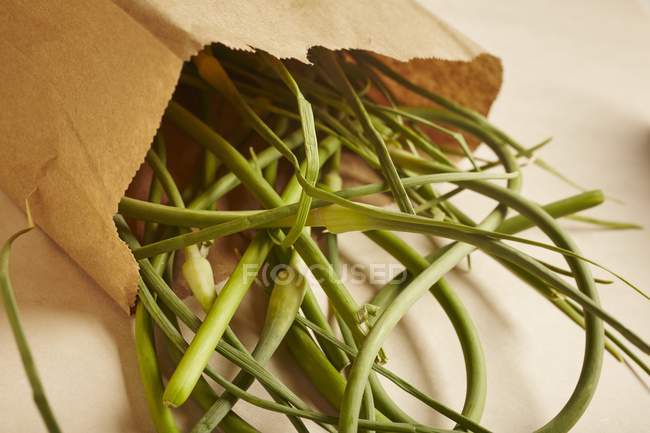 Gambi di aglio biologico — Foto stock