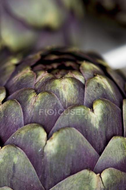 Artichaut violet frais — Photo de stock