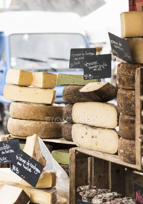Various cheeses on stall — Stock Photo