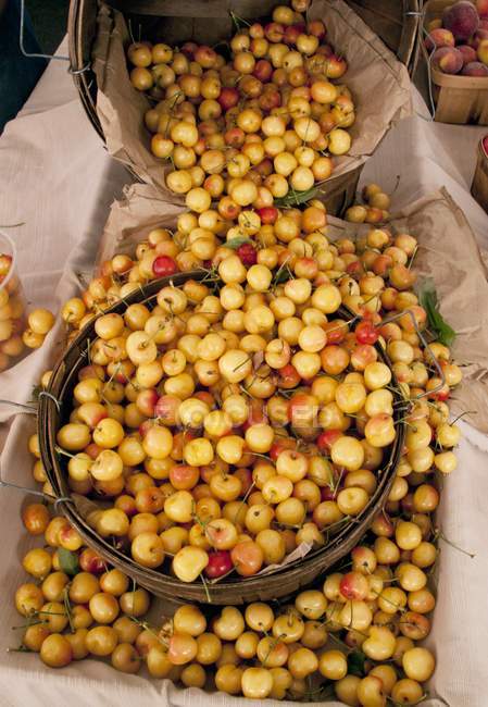 Baskets of fresh yellow cherries — Stock Photo