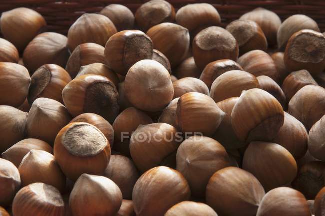 Весь сушеный Hazelnuts — стоковое фото