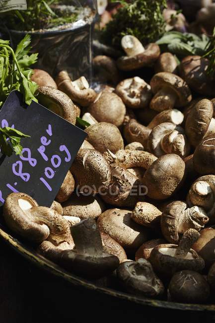 Brown mushrooms in wooden bowl — Stock Photo