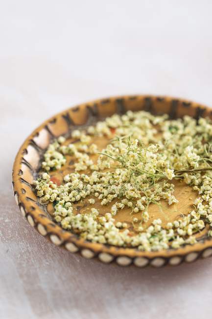 Closeup view of dried elderflowers on a patterned plate — Stock Photo