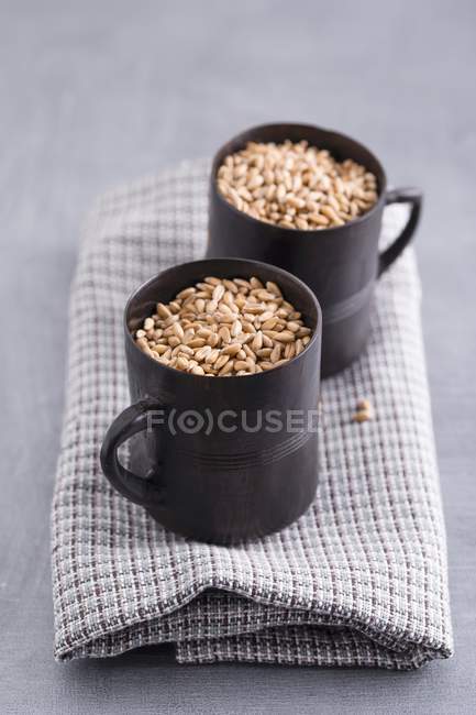 Cups of spelt grains — Stock Photo
