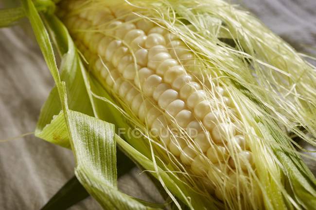 Кукурудза на кобу в цілому — стокове фото