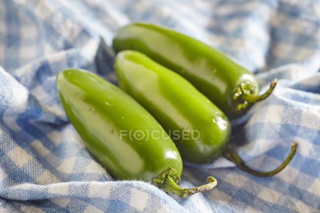 Trois jalapeos verts frais et crus sur tissu — Photo de stock