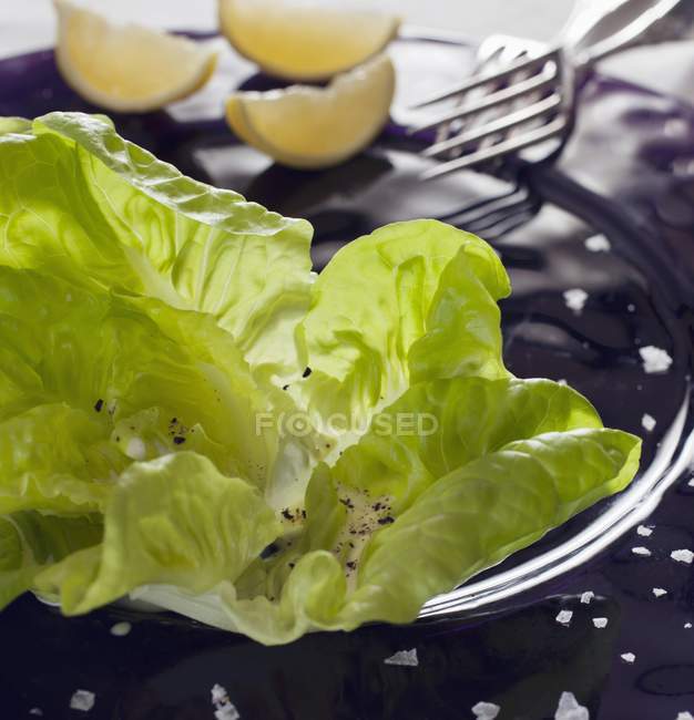 Lettuce leaves with salt — Stock Photo