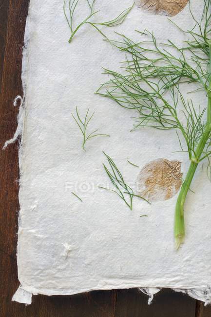 Fresh fennel sprigs on handmade paper over wooden surface — Stock Photo