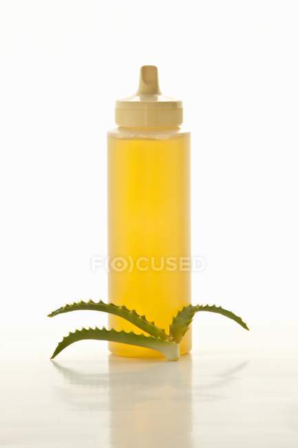Вид крупным планом агавского сиропа в пластиковой бутылке с листьями агава на белой поверхности — стоковое фото