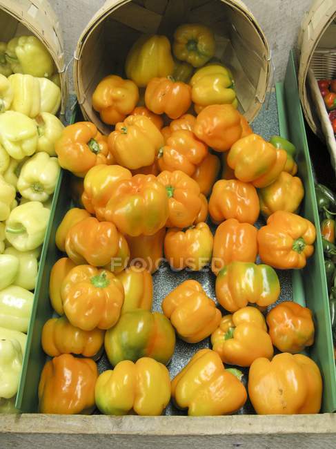 Peperoni arancioni in cassa — Foto stock