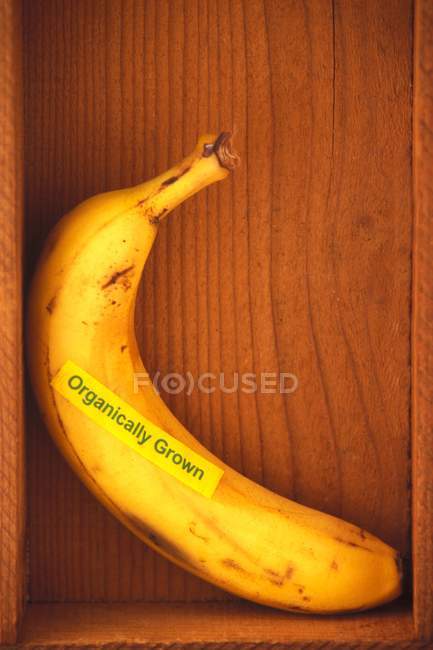 Plátano crudo ecológico - foto de stock