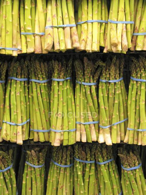Fasci di asparagi freschi — Foto stock