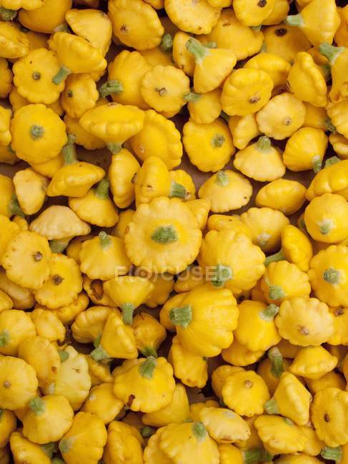 Abóbora-pattypan amarela — Fotografia de Stock