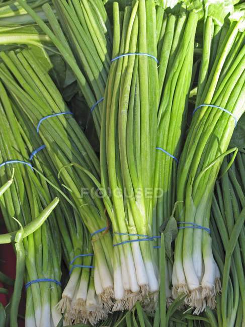 Raw spring onions — Stock Photo