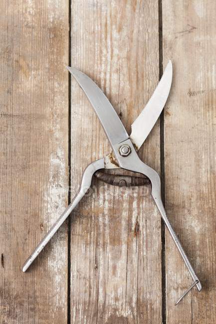 Closeup view of poultry scissors on a wooden surface — Stock Photo