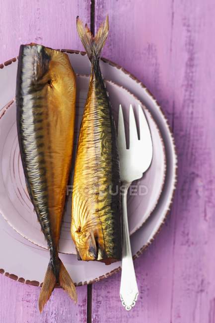 Maquereau fumé sur assiette avec fourchette — Photo de stock