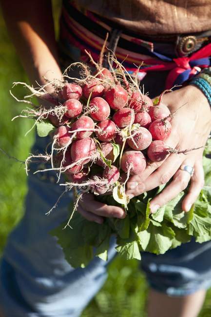 Una donna che tiene ravanelli rossi freschi in mano all'aperto — Foto stock