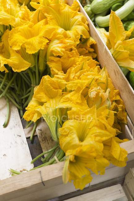 Fleurs de courgette dans une caisse en bois — Photo de stock