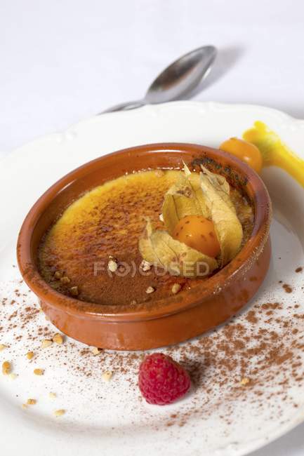 Creme brulee with cocoa powder — Stock Photo