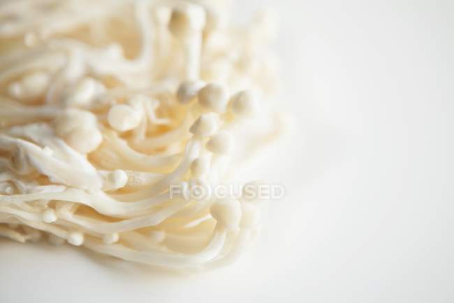 Buna-Shimeji Mushrooms on White — Stock Photo