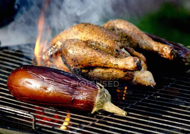 Whole chicken and aubergine — Stock Photo