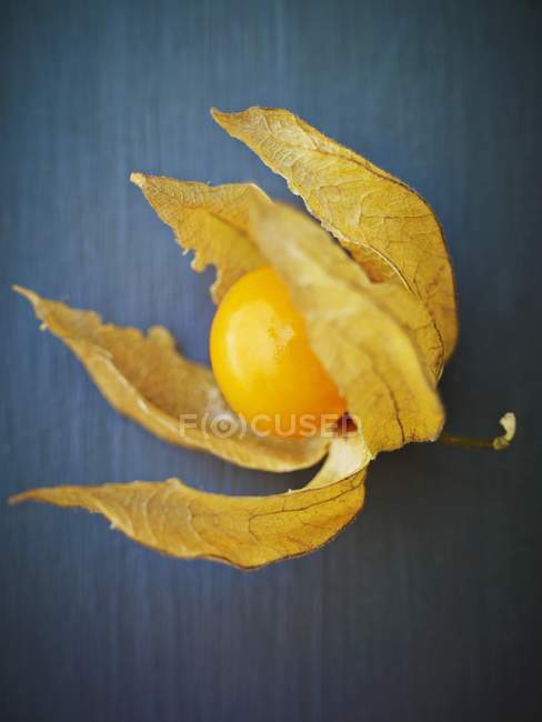 Physalis with open cape — Stock Photo