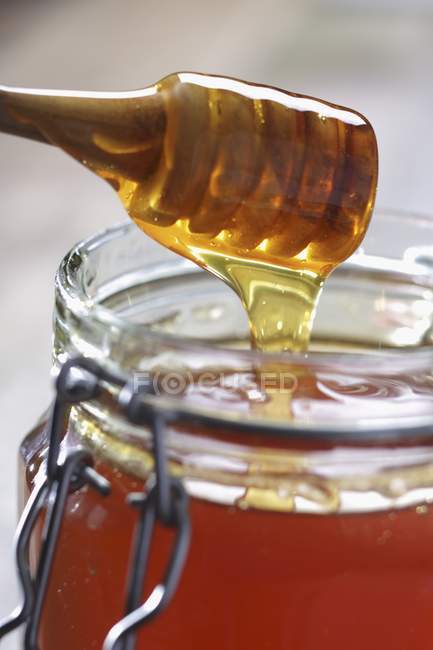 Honey dripping off — Stock Photo
