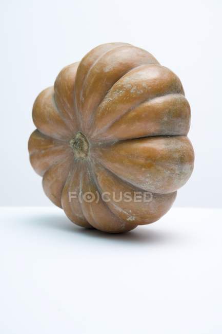 Muscade de Provence squash - foto de stock