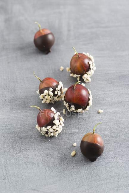 Framboesas espinhosas revestidas de chocolate — Fotografia de Stock