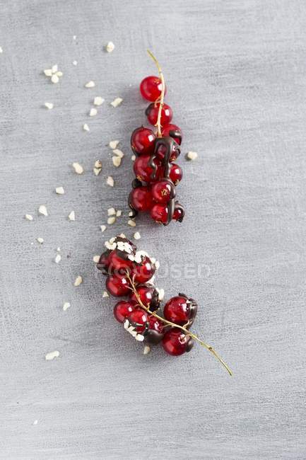 Ribes rosso ricoperto di cioccolato — Foto stock