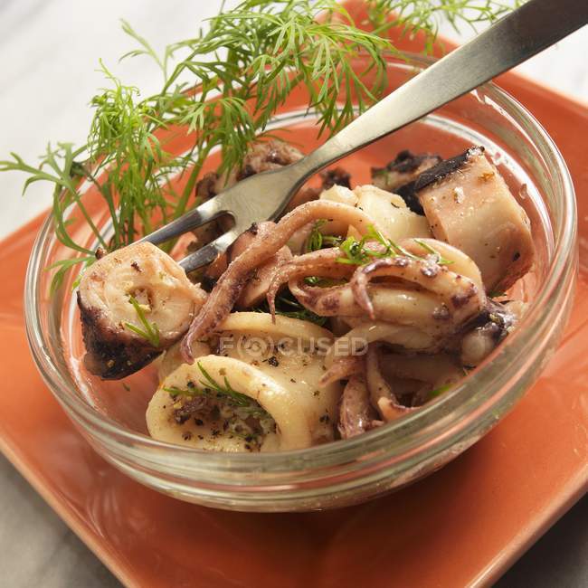Spanish squid and octopus salad with dill — Stock Photo