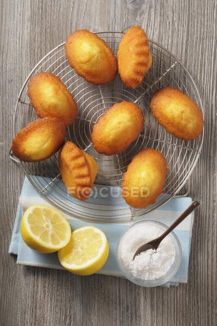 Baked Lemon madeleines — Stock Photo